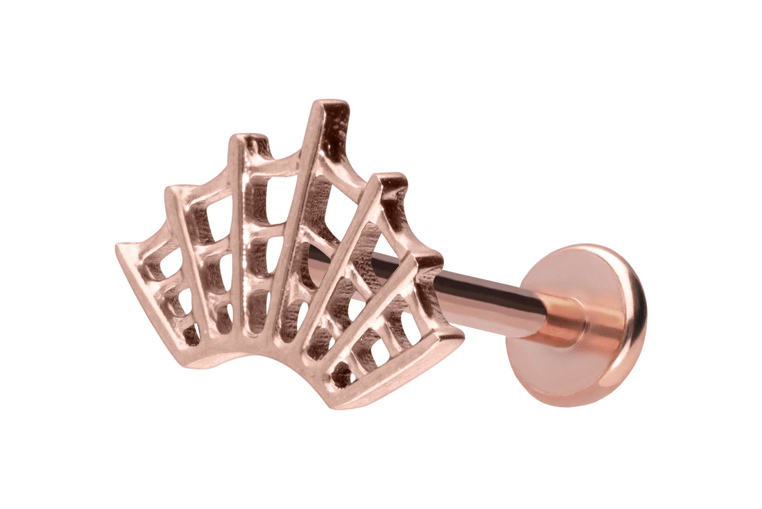 Titan Labret Piercing mit Push Fit SPINNENNETZ